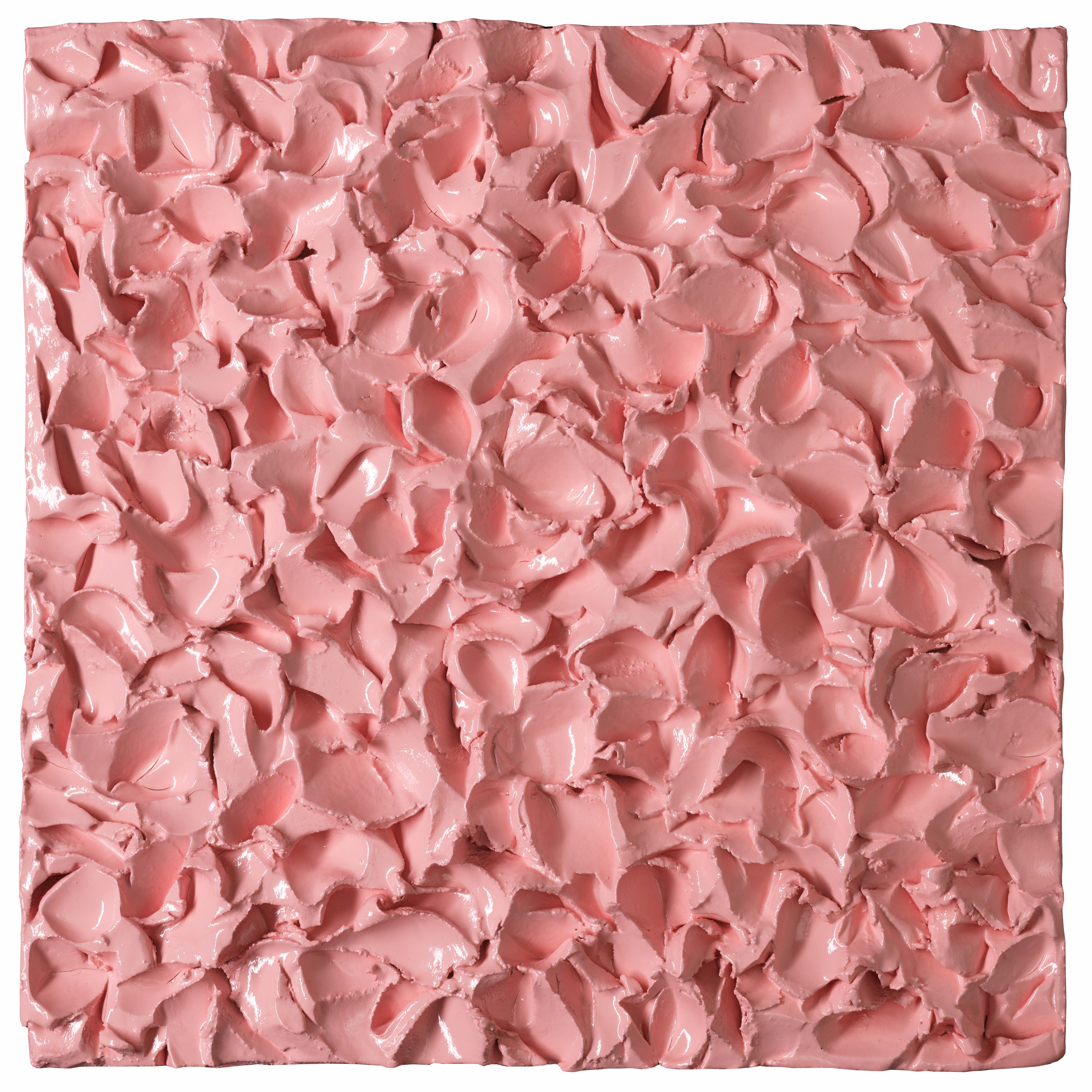 PINK FLESH Description Image